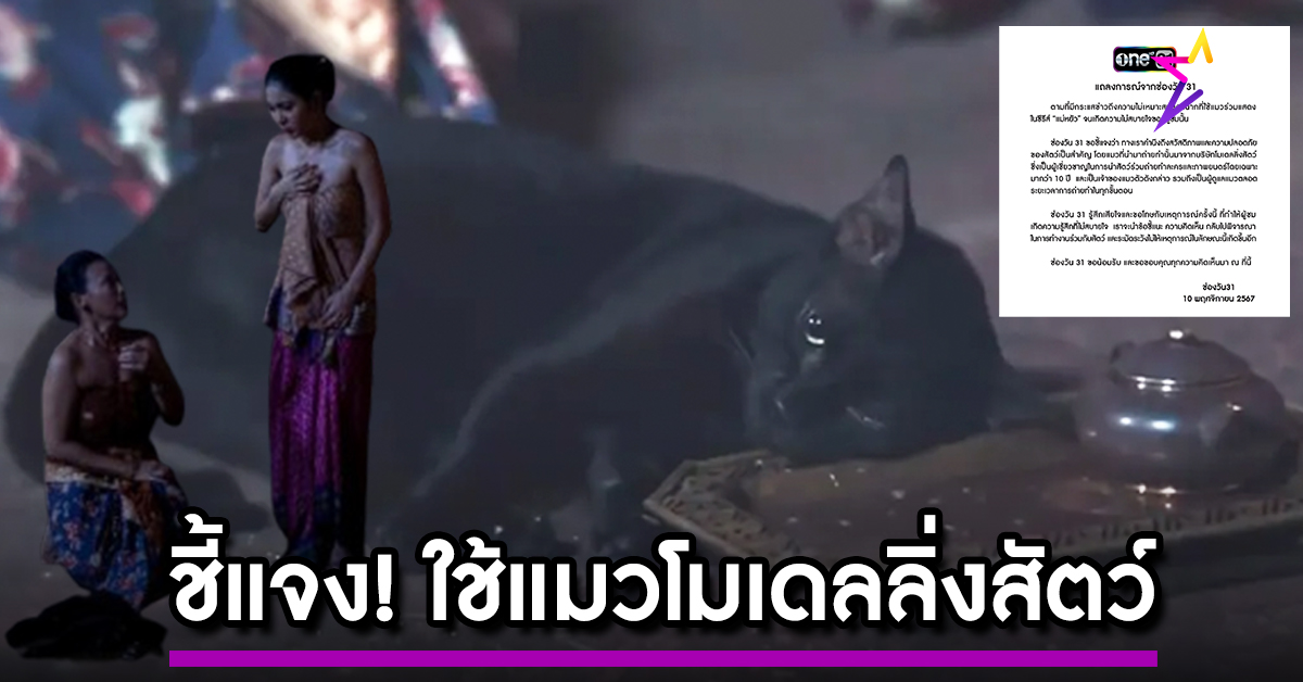 Cat 0ne ปกข่าวเว็บ